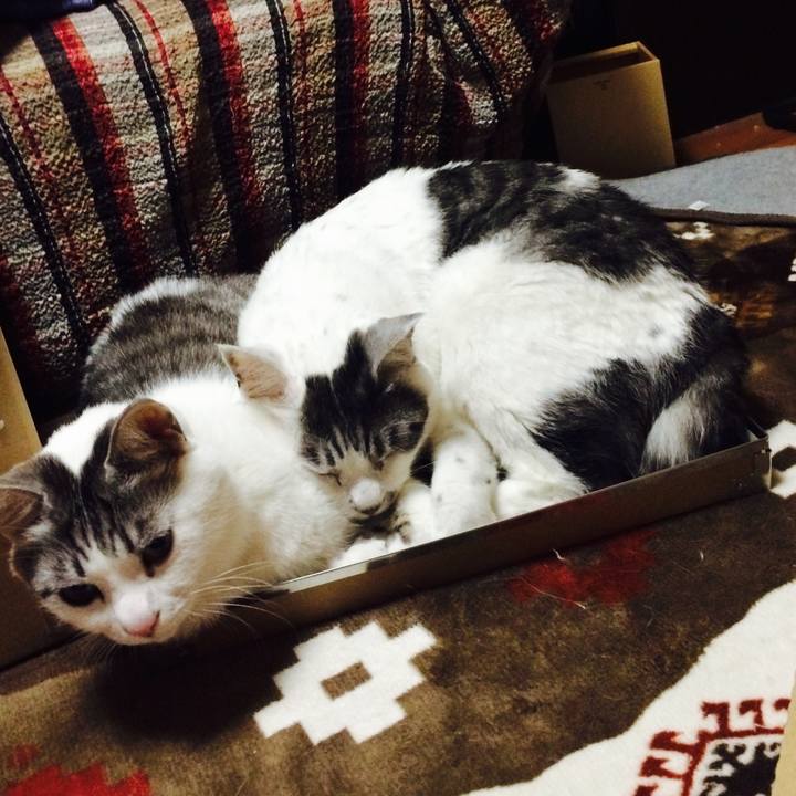 A5fac978 057d 4b45 a323 48488e5b1a31