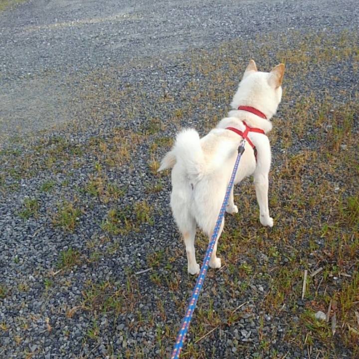 A5fb41c7 943d 4461 be8e e1403b369940