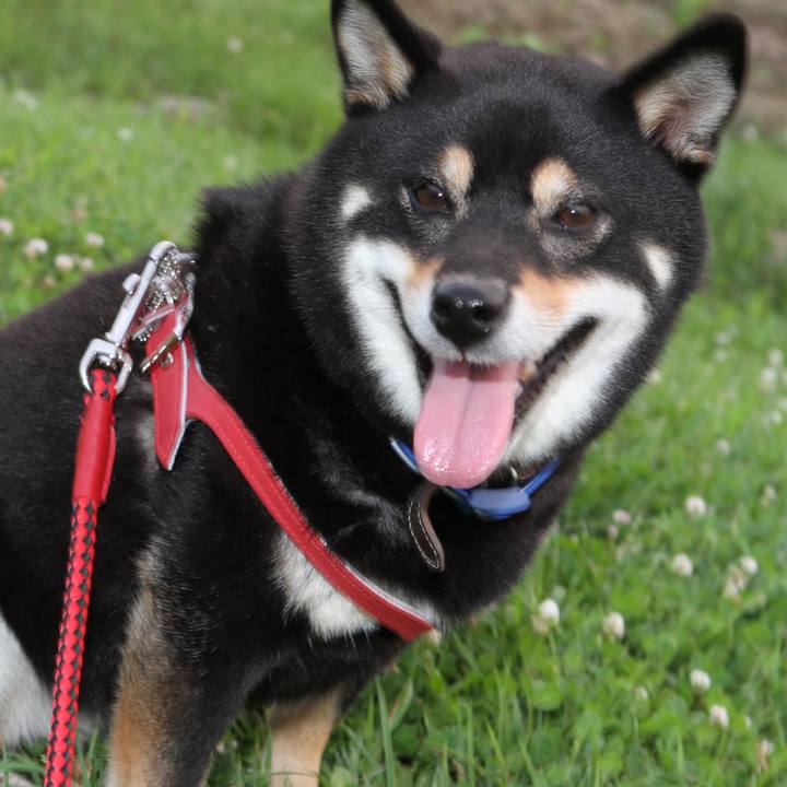 A5fbba1b 3ed0 408a 9859 9a5a81f4d2ee