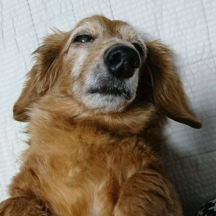 A5fbbe00 f89c 42b6 bf75 25d6d81aaa7d