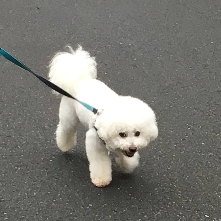 A5fc8692 75f1 4c16 a1e3 27e4154595c0