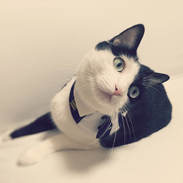 A5fc933e de37 4d12 b330 59fef8dfc18a