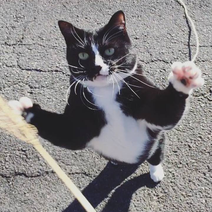 A5fd3ca0 2622 4a3b b208 425ed47a5ebf