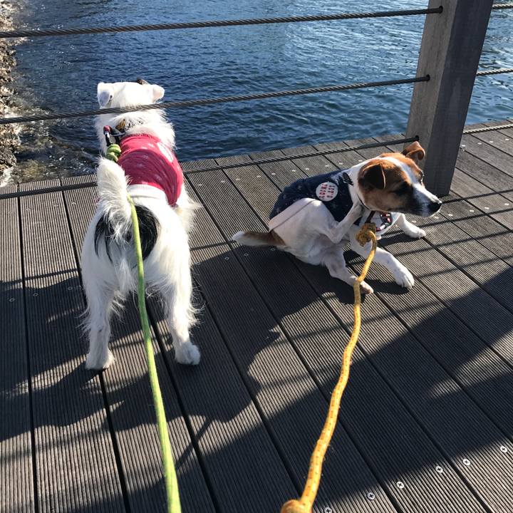 A5fd67bc 4b35 42fd a286 ac4c886d3b84