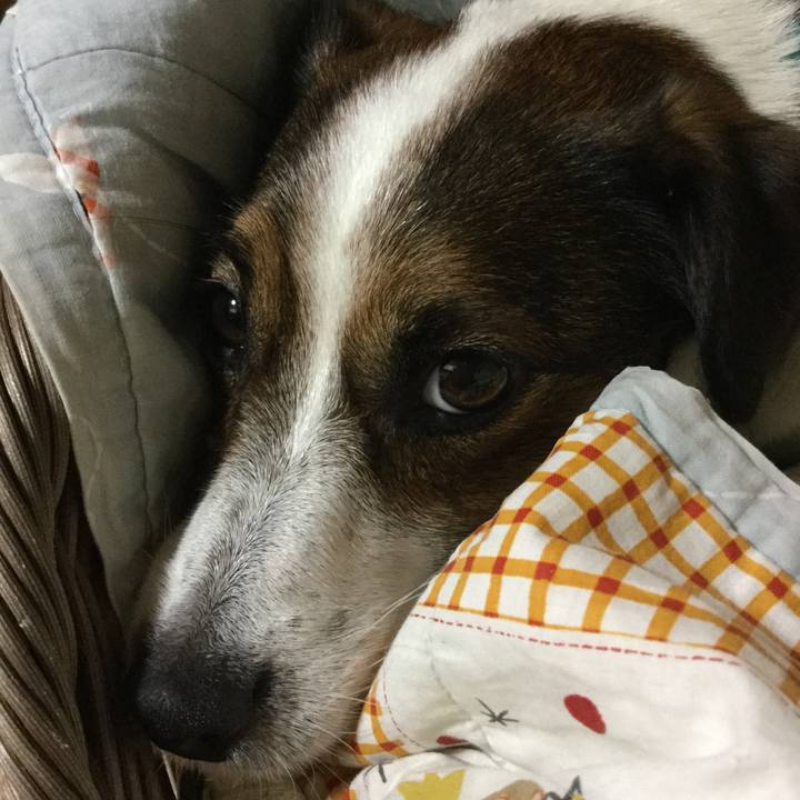 A5fd6b11 2d82 4073 a346 94dbce73adfd