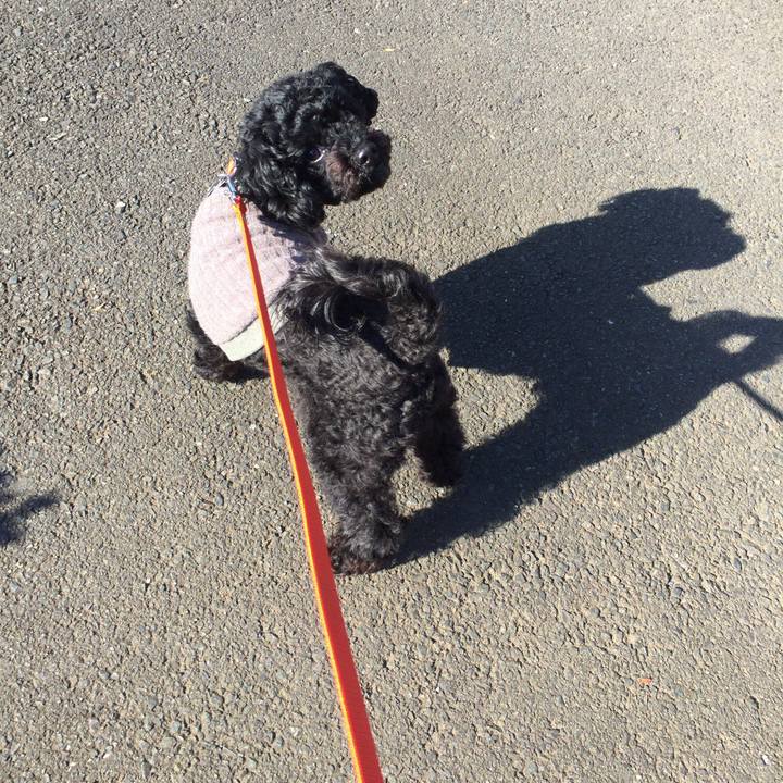 A5fdb0ce d2c0 4113 91d9 c370adea4bed