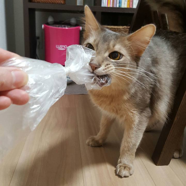 A5fdb2e4 e33e 429f 8b62 b188c60a9a1f