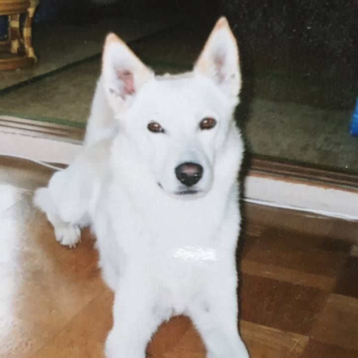 A5fdfc3d b65e 4ae9 868e 34f4eb92fa8f