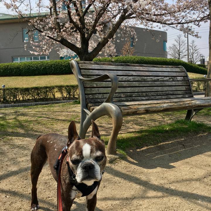 A5fe0a35 fb02 4aa1 a1cc a8155f978bf4