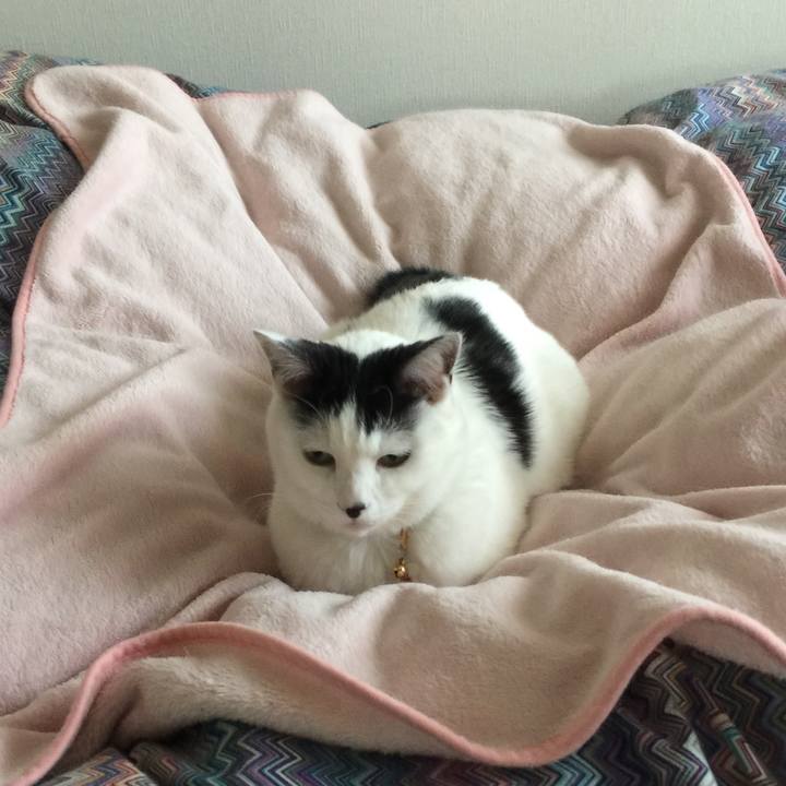 A5fed549 50b3 4423 96f8 a055245fab0b