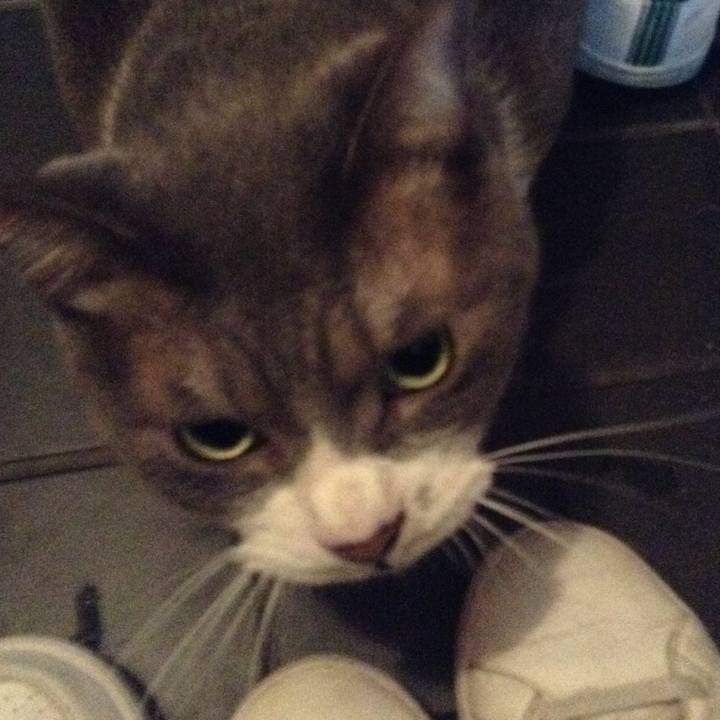 A5ff404e d6fb 4b56 9a3c a645e03f4e1b