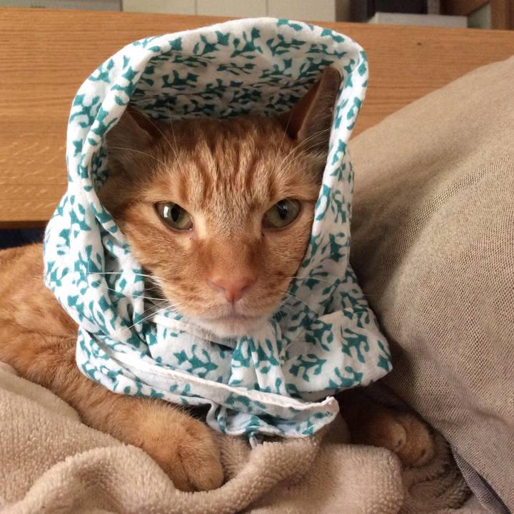 A5ff4f58 ddab 45b5 94c3 faa446ed28e7