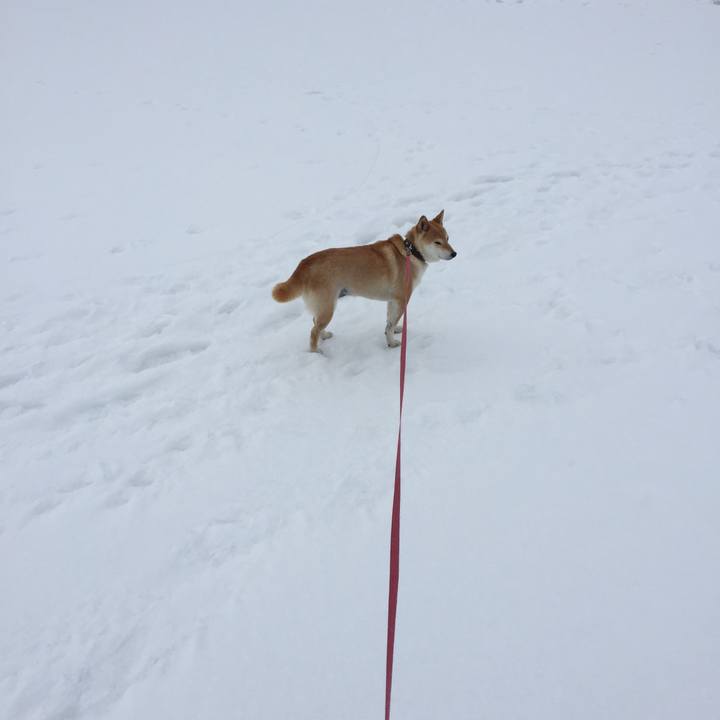 A5ffcd32 27bb 4a22 a09e 5a392e0ca81a