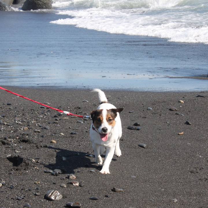 A60028e2 9d46 42b6 bb43 eb88a12fc745