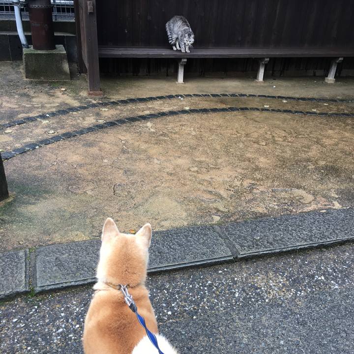 A6009877 a030 4784 b040 4ff2b62f1874