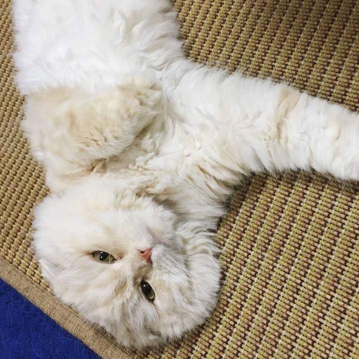 A600b314 08cc 4dec afb2 0c27a326f104