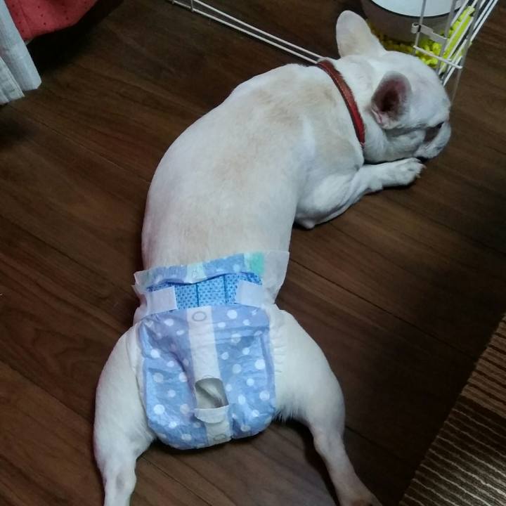 A601794e 2e09 4db6 8712 1016eed21a8e