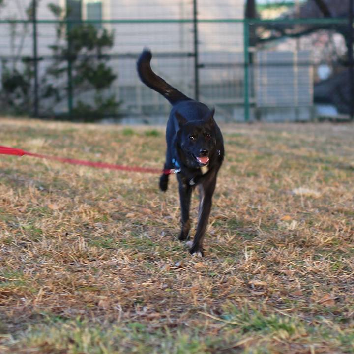 A60179d3 68d6 48f6 a148 87c36d2b6c2b