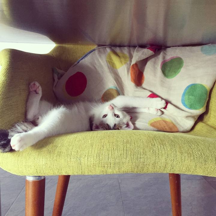 A60287a5 b3b9 44ef 9584 2b59d1800173