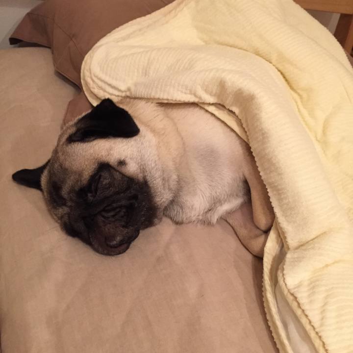 A602a134 0e0d 44f8 89c9 13a376351310