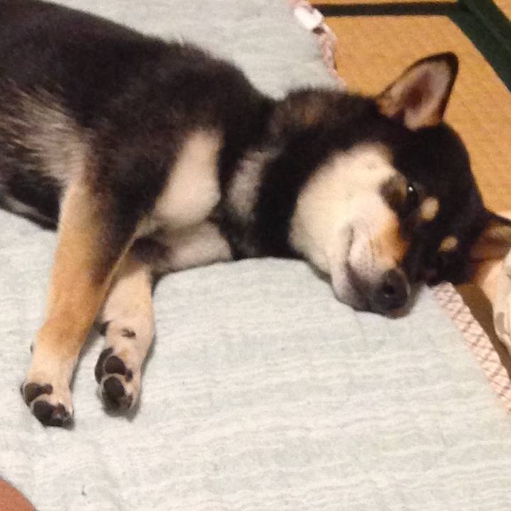 A602e738 f870 4204 907c 643d93f587fb