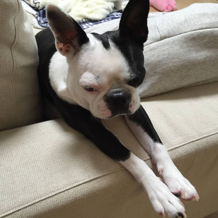 A602f901 cd6a 4e37 9ba8 99a6481d8d23