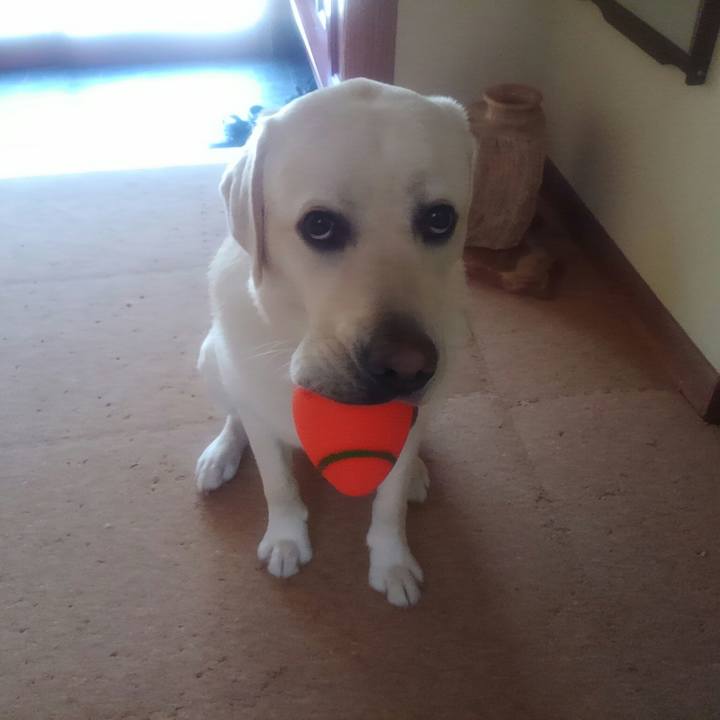 A6030562 e458 44cb b019 1722b6863255