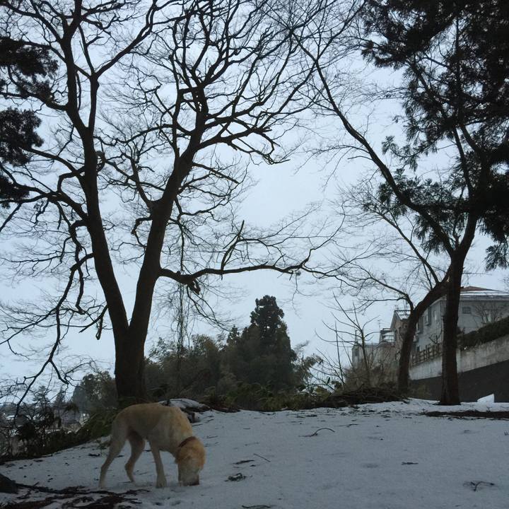 A6031e88 831a 4141 ab79 82a1b9fab615