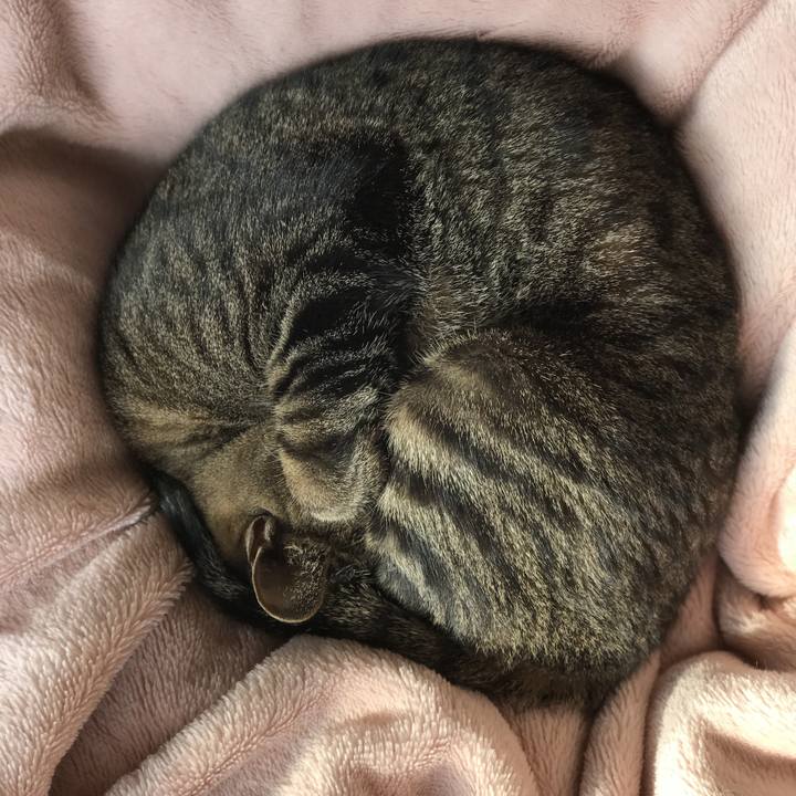 A603788c 8526 4760 88d8 6449661314d3