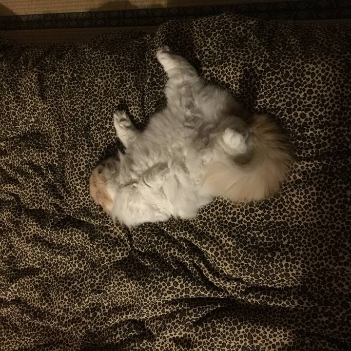 A603fc75 2189 43c9 a163 6c187aee3398