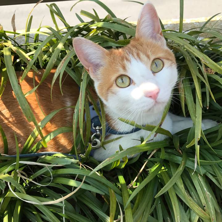 A60546ce 8016 455f 918c f9c7ac765893