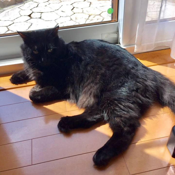 A6058e23 eea2 4564 8adb 6ddf88fad420