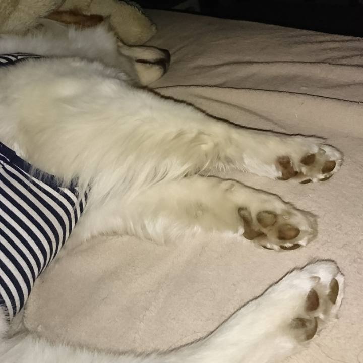 A605b838 98bc 433a 83db 1512eaf28b4a