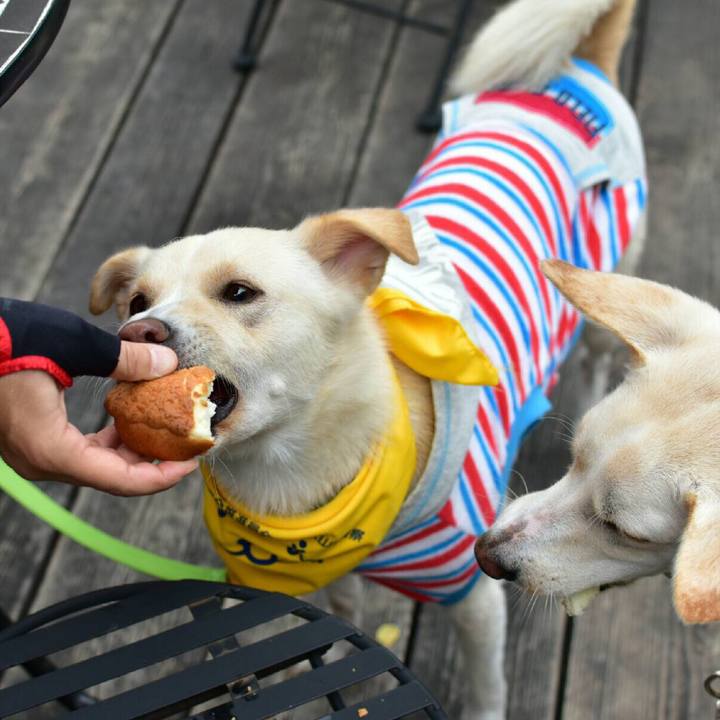 A605f25d 6e98 4ad6 b85a 45f620b2c86f