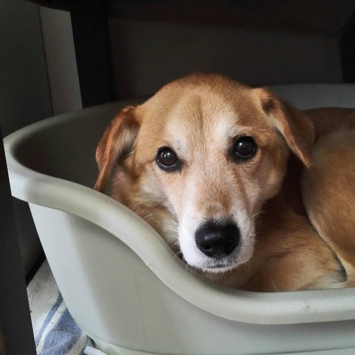 A60688fb b903 4d56 a9dc 148c6a45e870