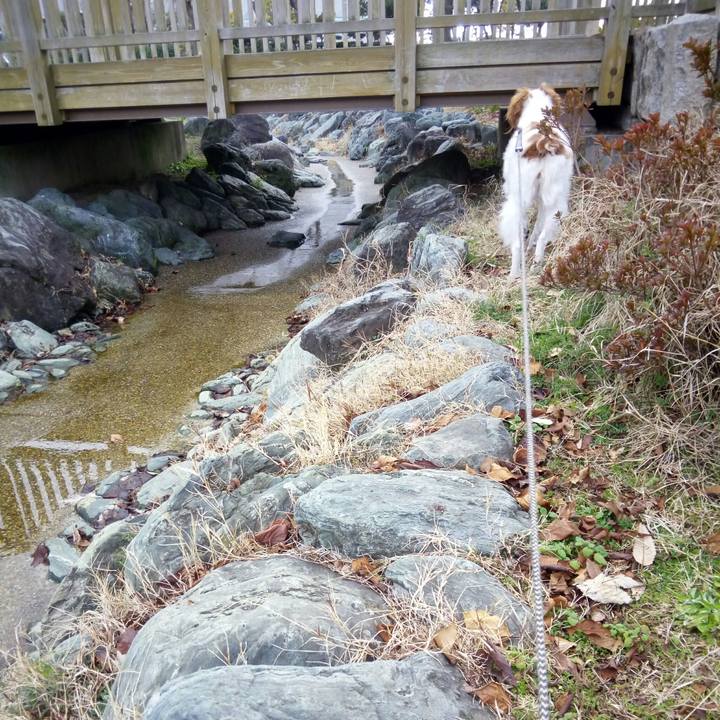 A6068d8e f0fb 4cdb a4f3 705e904229c1