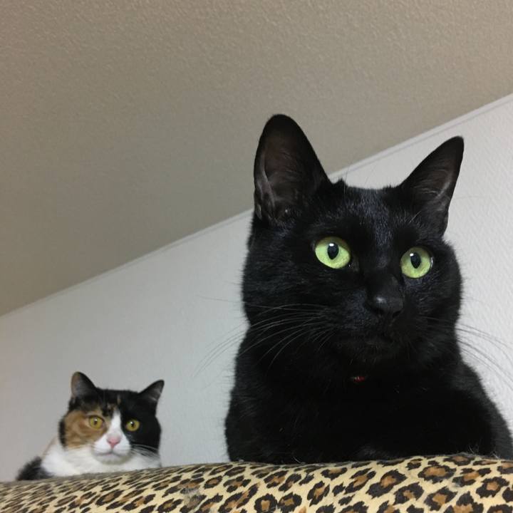 A6070933 621c 4a4e a259 8a6c0f52e4b2