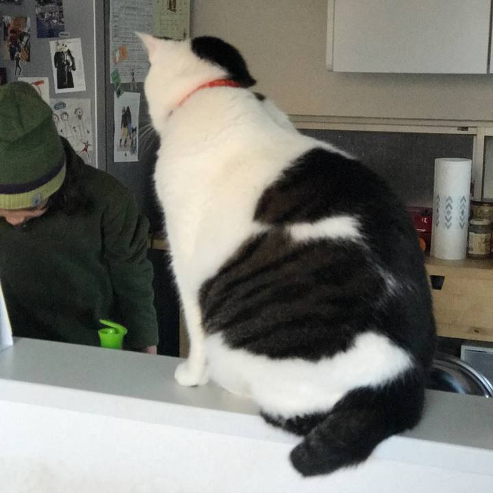 A60746b6 5653 421d aeec 46bd22390283