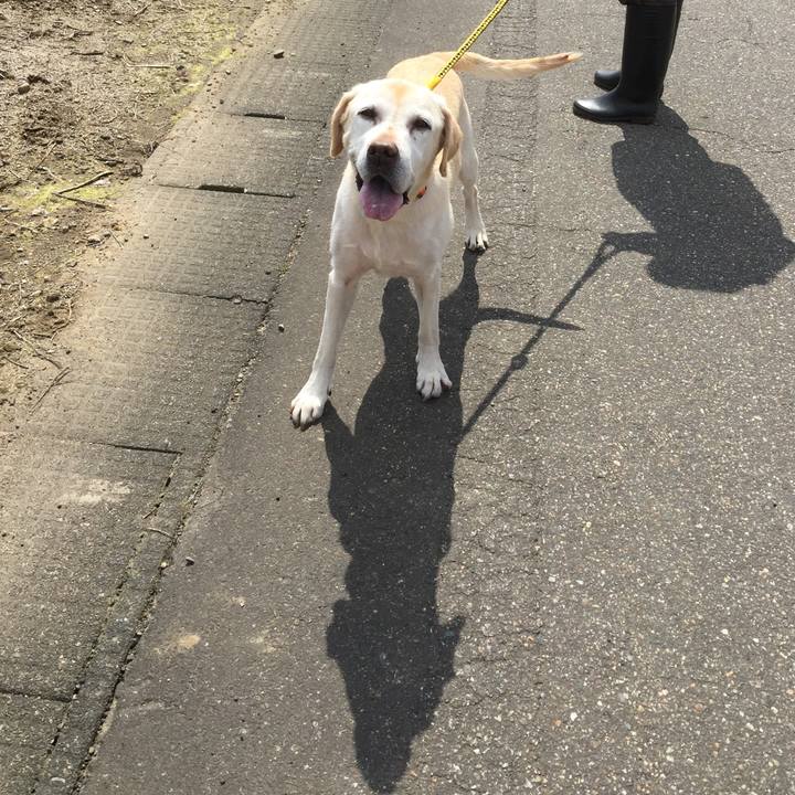 A607790a 8ee4 49bb a738 59f3627c484d