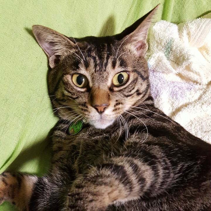 A607d189 a23a 4c75 bb56 707653b4b395