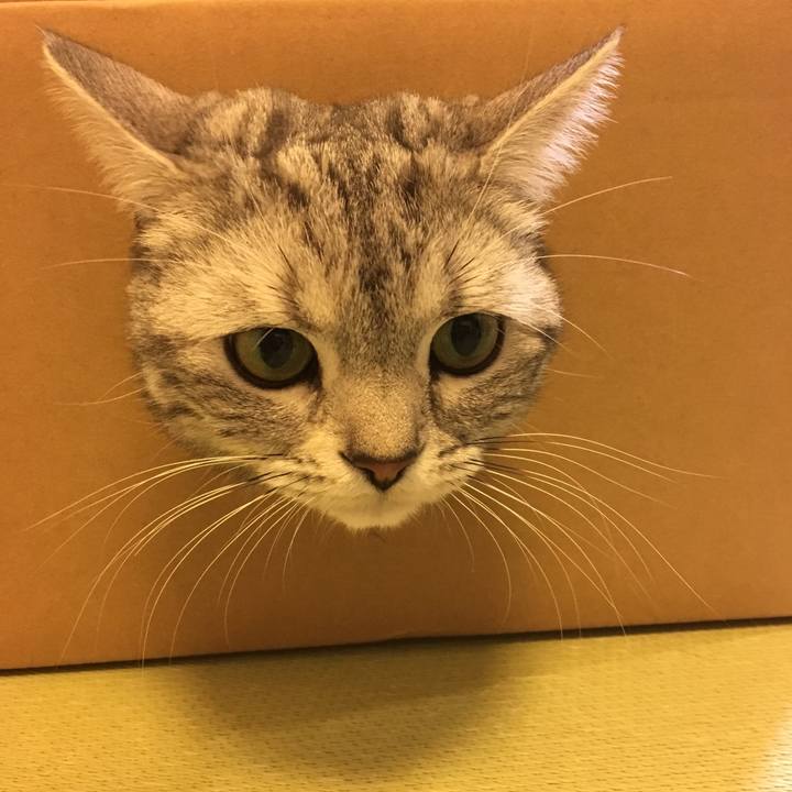 A6081f68 fb11 41ab 8482 1a6eeb2c7584