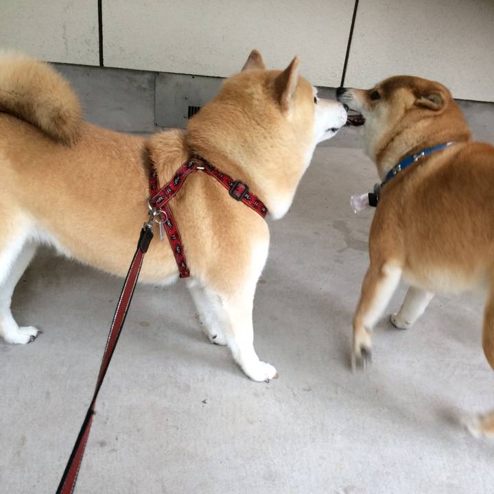 A60858b9 ea42 4c78 93ad 446e7b3ba334