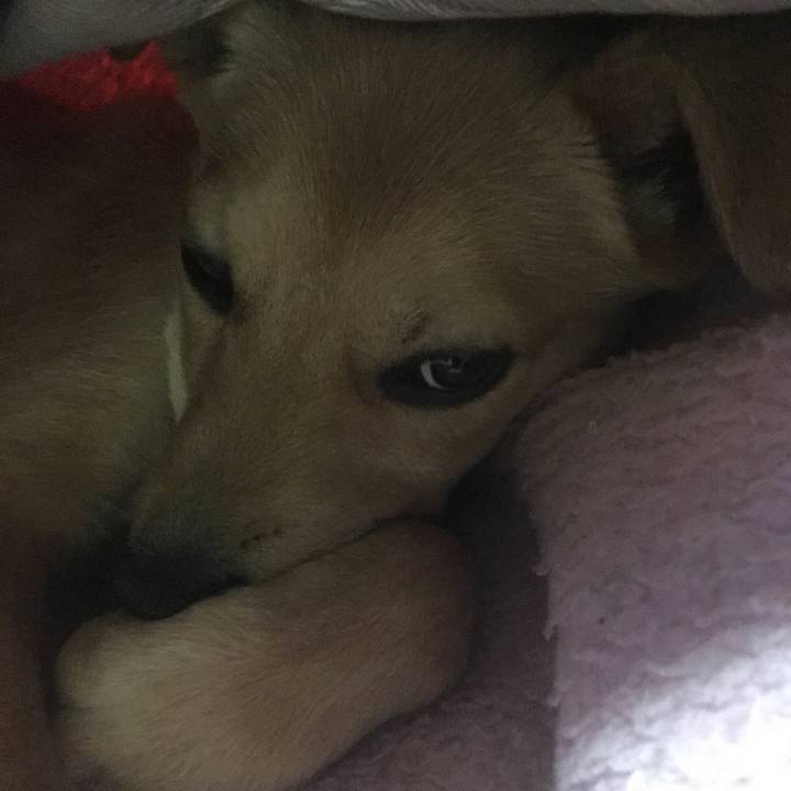 A6086b12 97c1 4965 bf3b 604c9cbcd54c