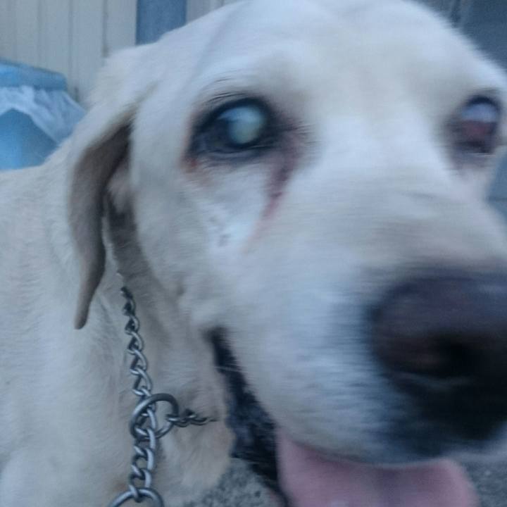 A60883e4 cdc1 474c b31b 77b068dce902