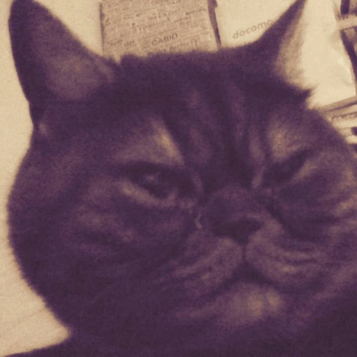 A60953f9 cfc4 4fbf a4a5 e069153b350d