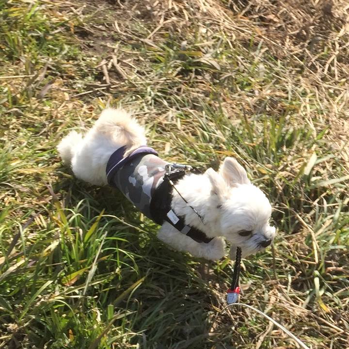 A60a3201 98c1 4821 85c6 27947fbce8bf