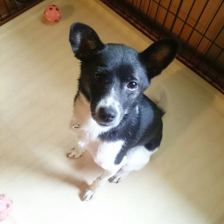 A60a4bb4 963b 4afe 8326 f73fd9fb1d80