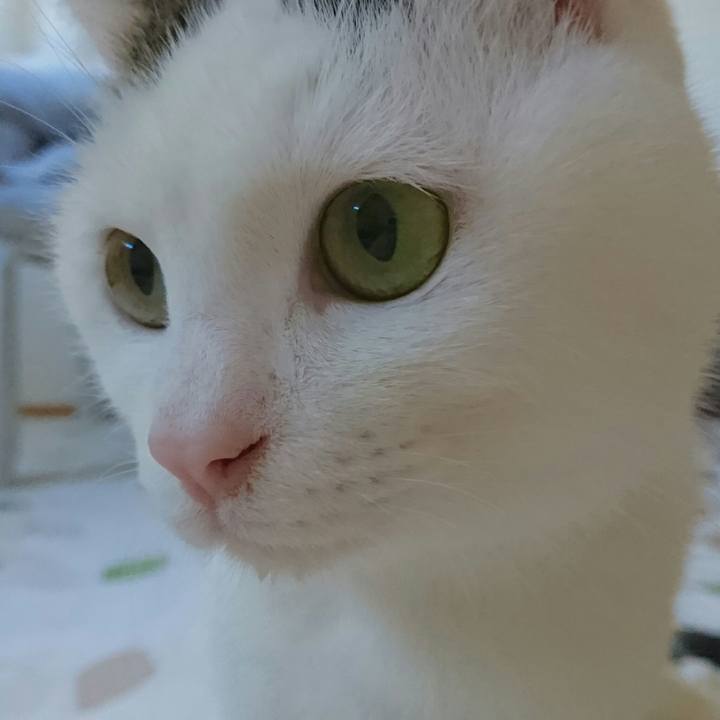 A60a9a2d 0560 4967 b8bb b1818b634a9c