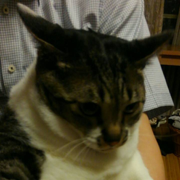 A60aab92 70e1 4280 b5cb 88e40c7fb0e8