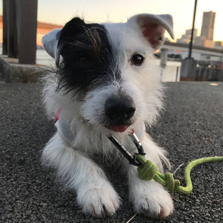 A60acf77 95b5 4ff7 a8b6 6a5a7fb91e12